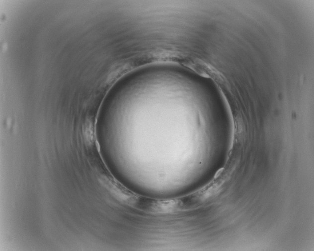 X0000072990479200608111811