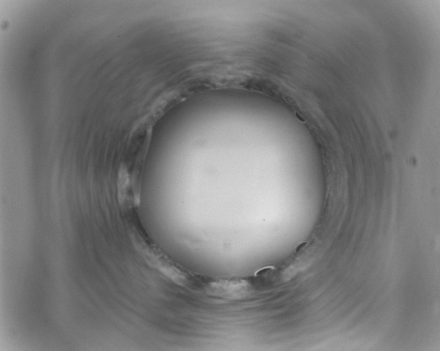 X0000072990480200608111811