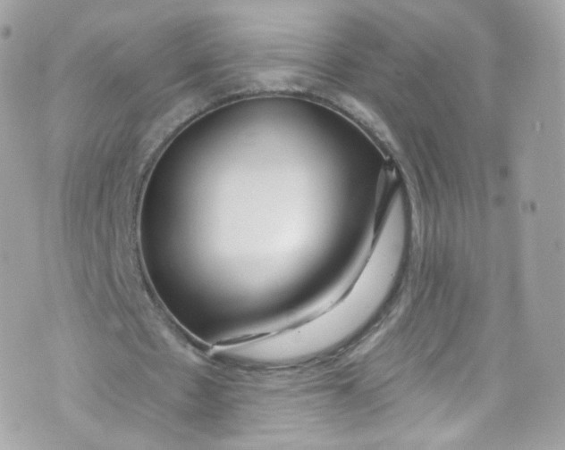 X0000072990481200608111811