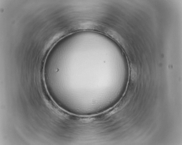 X0000072990482200608111811