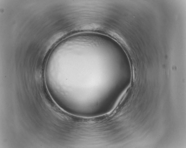 X0000072990483200608111811