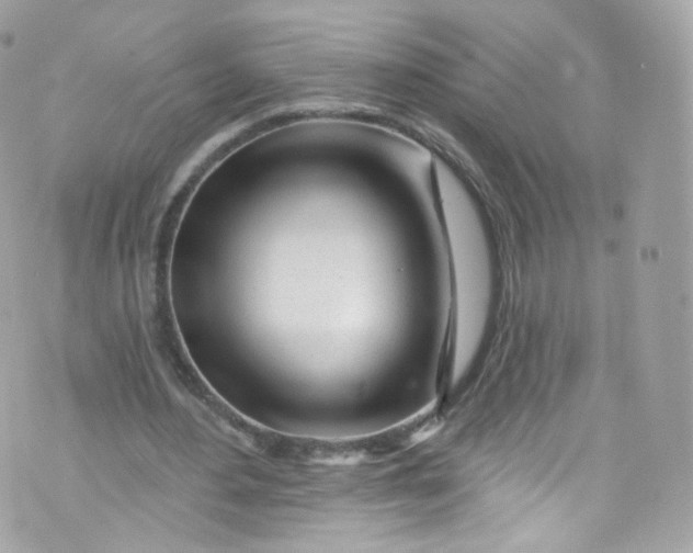 X0000072990484200608111811