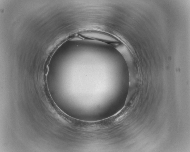 X0000072990485200608111811