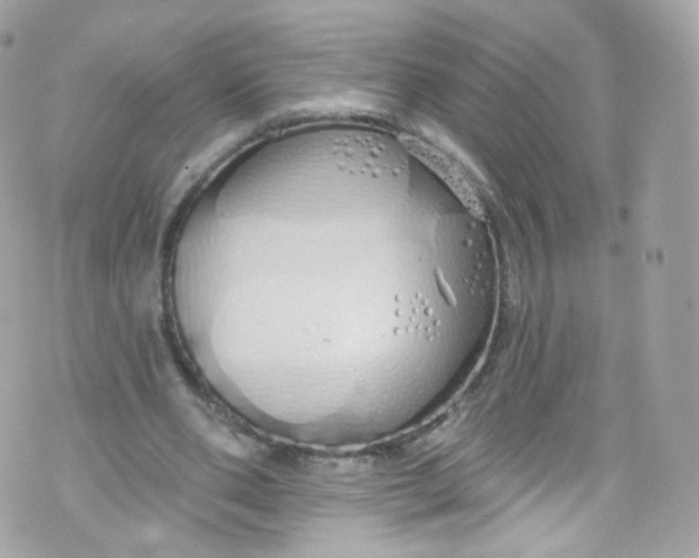 X0000072990486200608111811