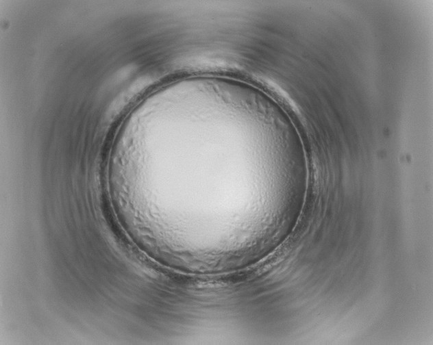 X0000072990487200608111811