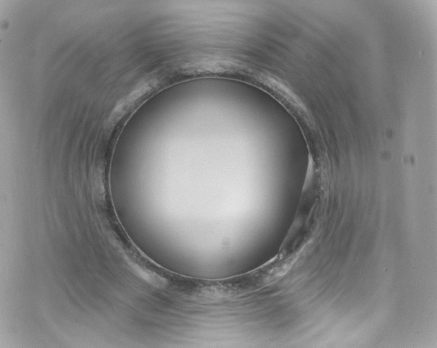 X0000072990489200608111811