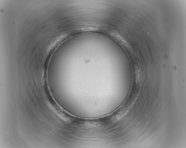 X0000072990490200608111811