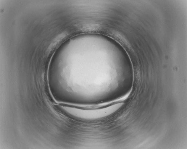 X0000072990491200608111811