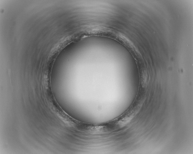 X0000072990497200608111810