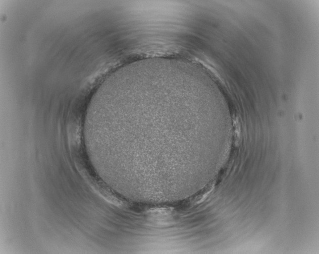 X0000072990499200608111810