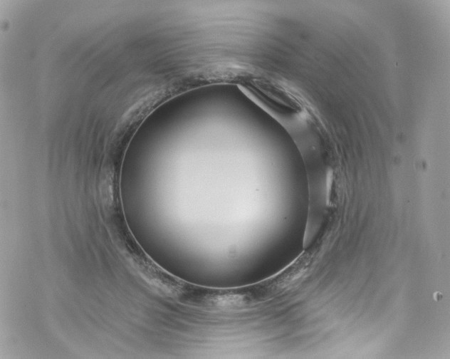 X0000072990501200608111810