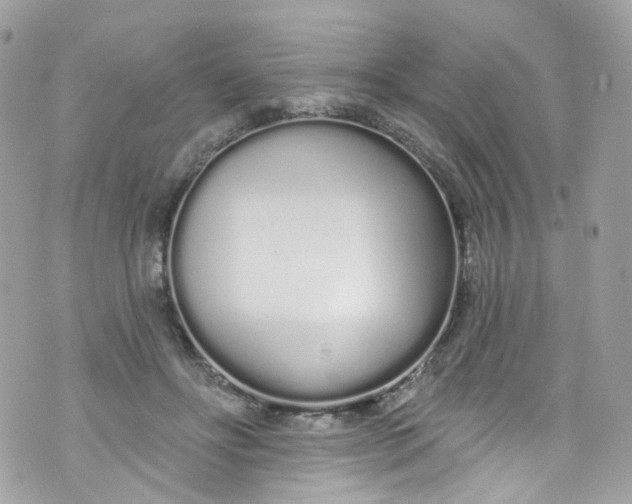 X0000072990502200608111810