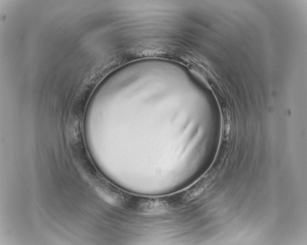 X0000072990503200608111810