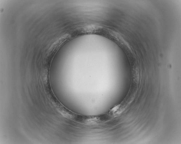 X0000072990505200608111810