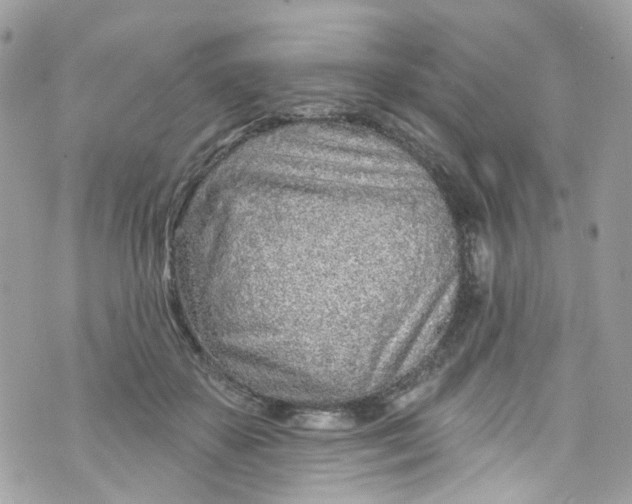 X0000072990507200608111810