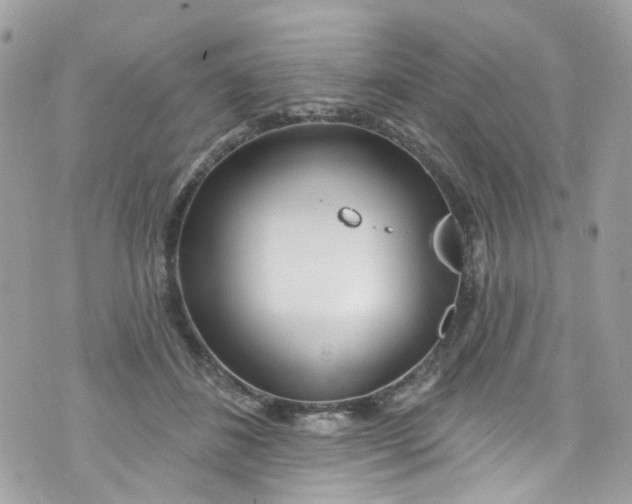 X0000072990508200608111810