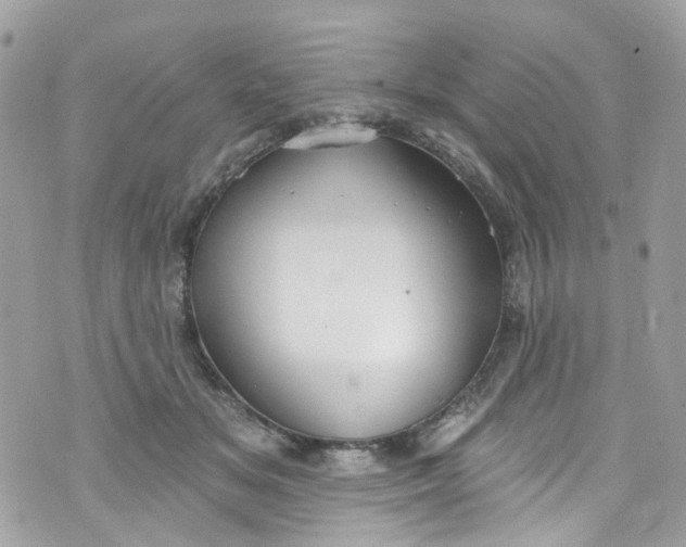 X0000072990509200608111810