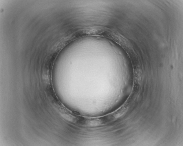 X0000072990510200608111810