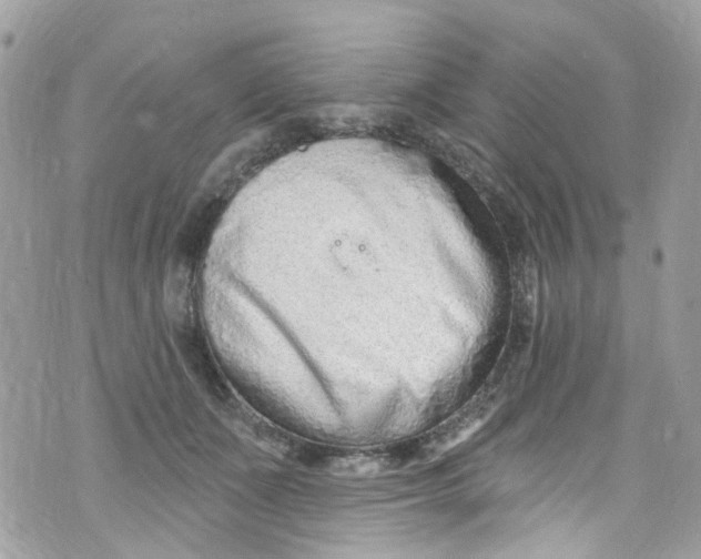 X0000072990511200608111810