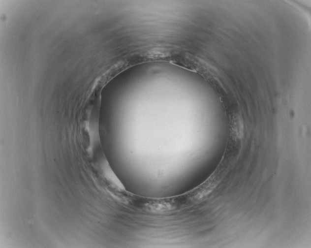 X0000072990512200608111810