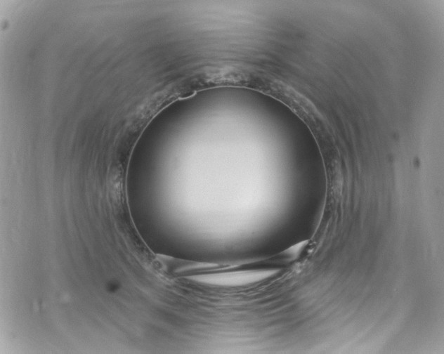 X0000072990513200608111810