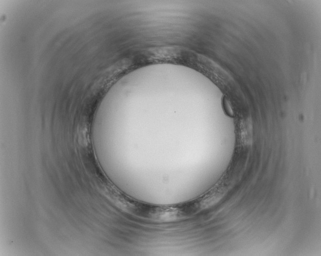 X0000072990514200608111810