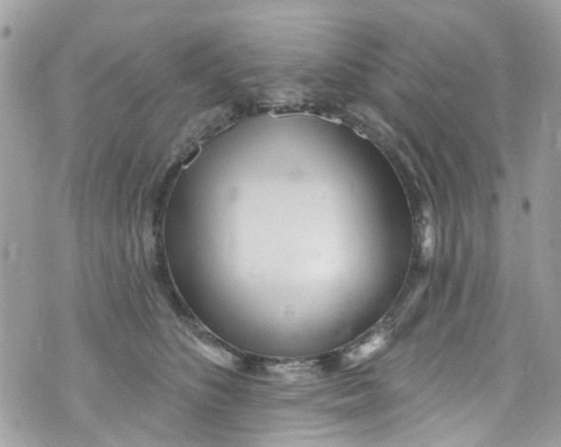 X0000072990516200608111810