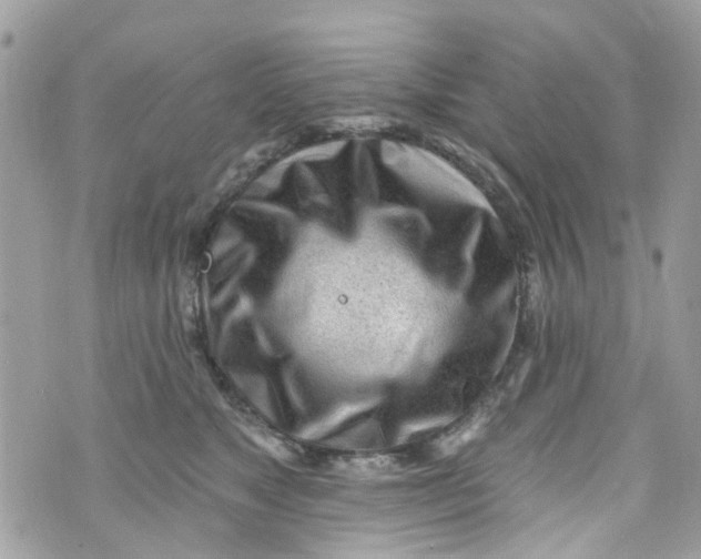 X0000072990517200608111810