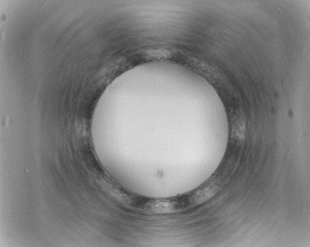 X0000072990518200608111810