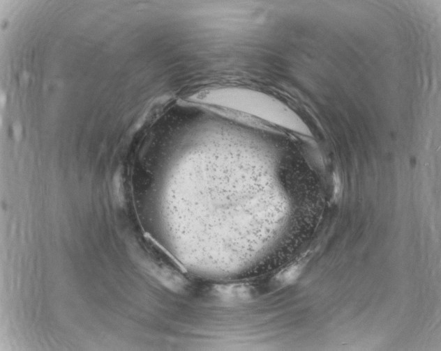 X0000072990520200608111810