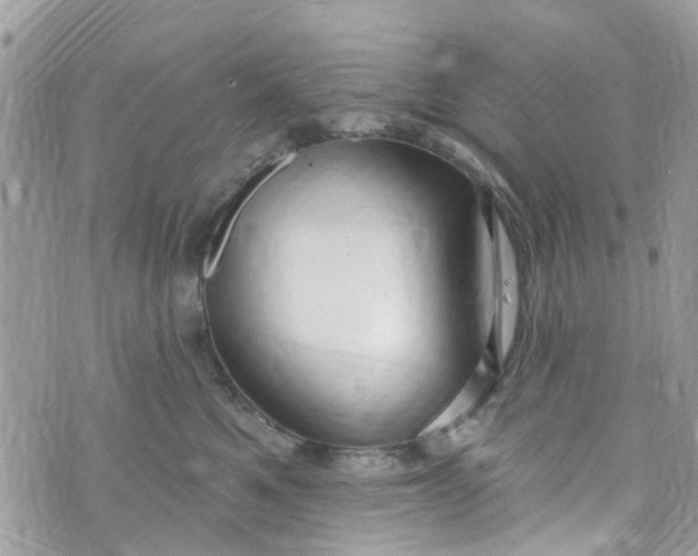 X0000072990521200608111810