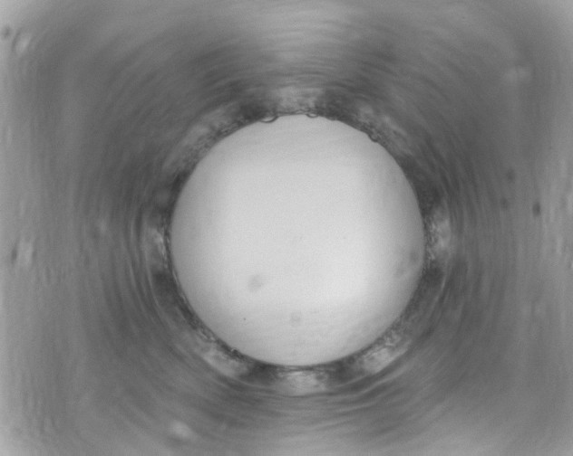 X0000072990522200608111810