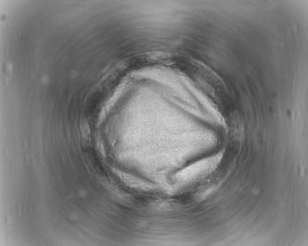 X0000072990523200608111810