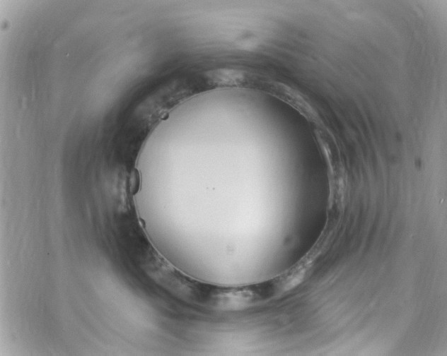 X0000072990525200608111810