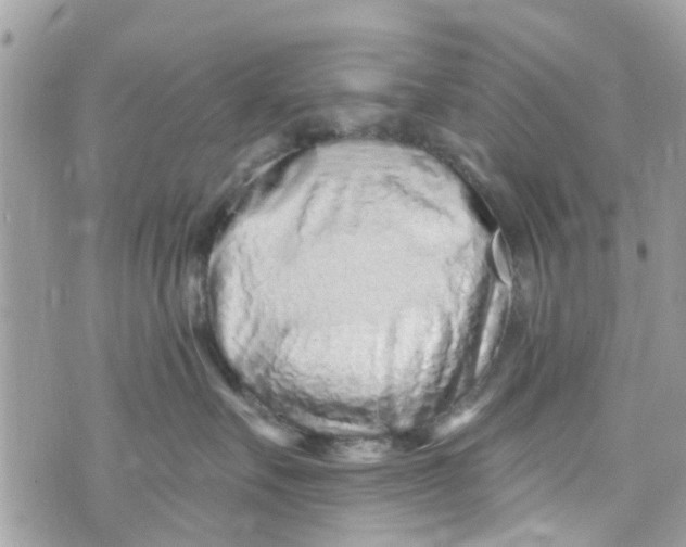 X0000072990527200608111810