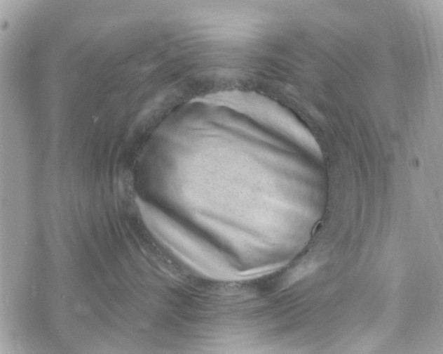 X0000072990528200608111810