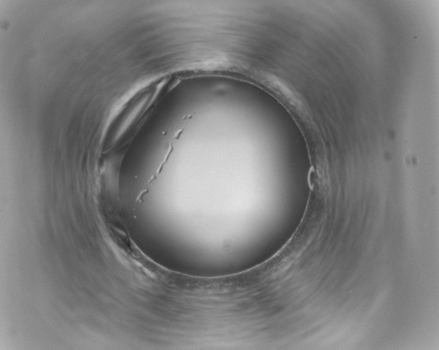 X0000072990532200608111809