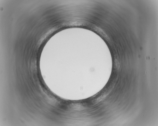 X0000072990534200608111809