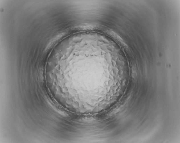 X0000072990537200608111809