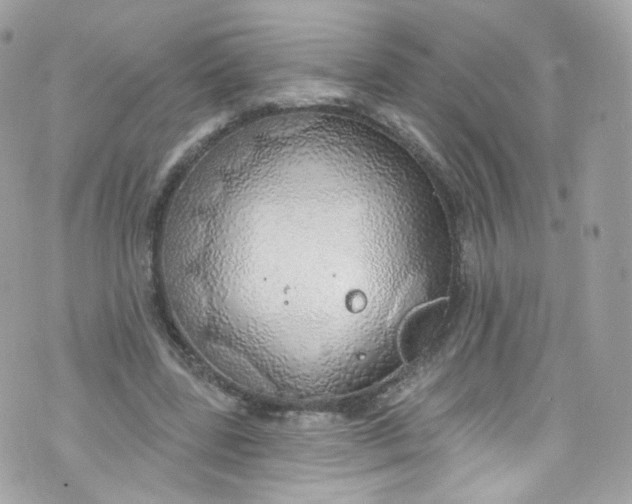 X0000072990539200608111809