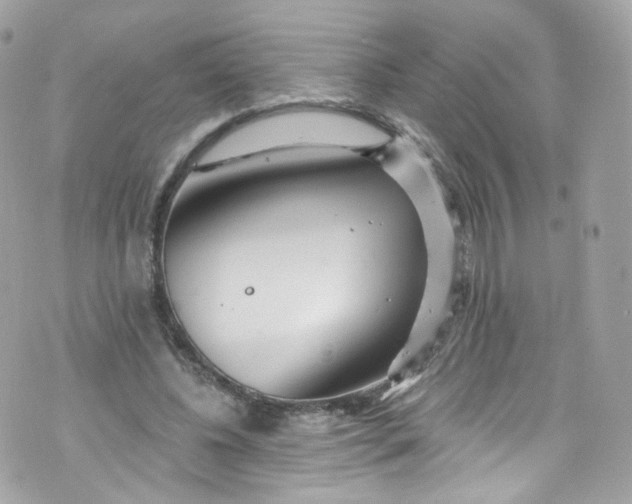 X0000072990540200608111809