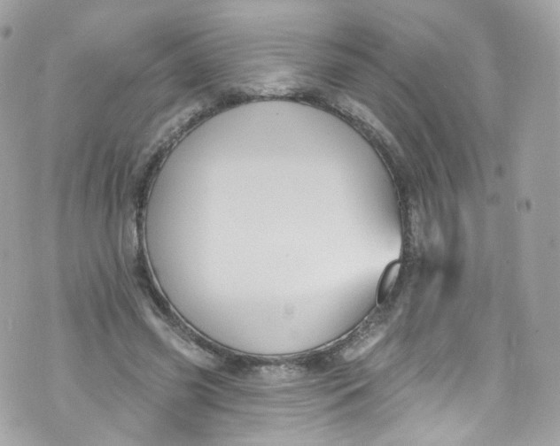 X0000072990541200608111809