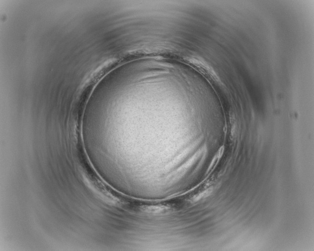 X0000072990542200608111809