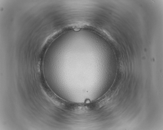 X0000072990543200608111809