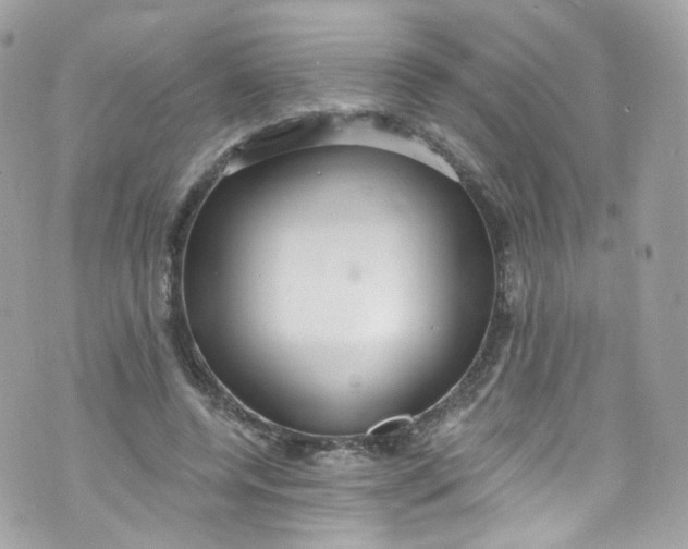 X0000072990544200608111809