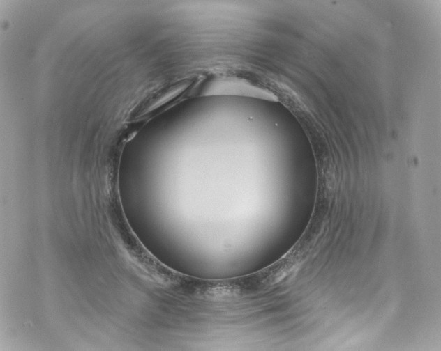 X0000072990546200608111809