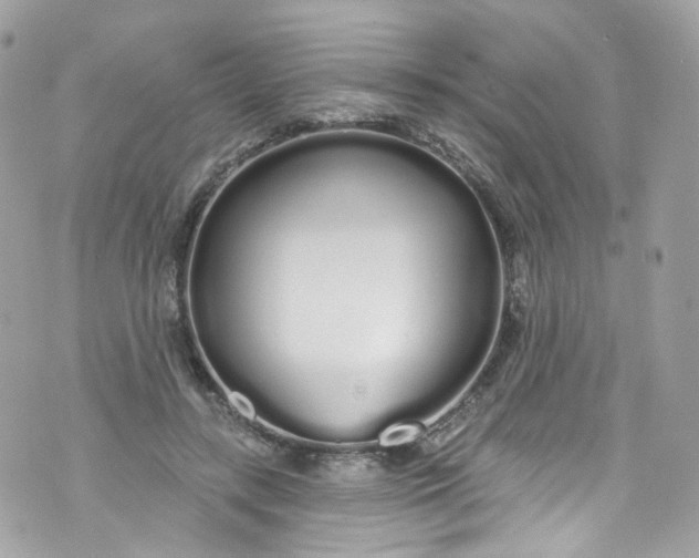 X0000072990547200608111809