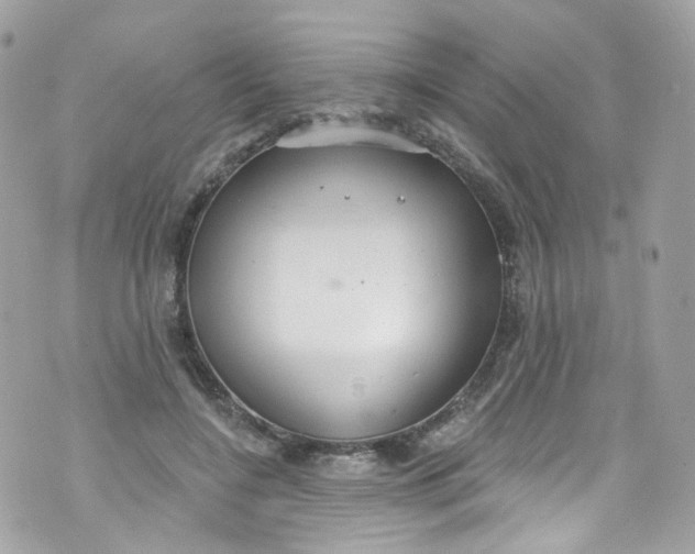 X0000072990548200608111809