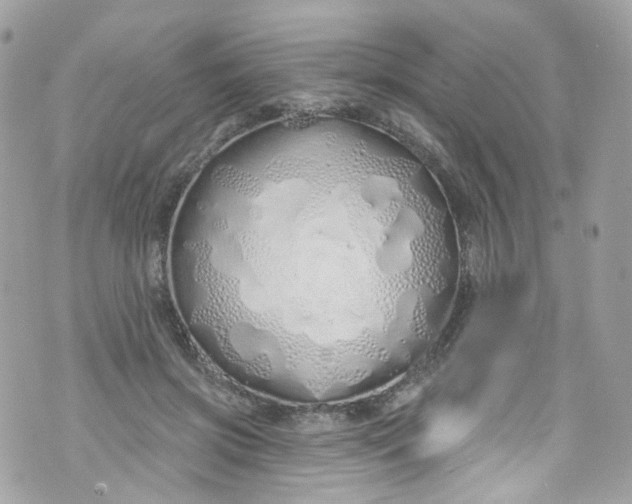 X0000072990549200608111809