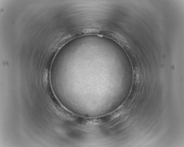 X0000072990550200608111809